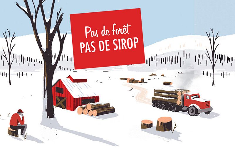 « Pas de forêt, pas de sirop » : les acériculteurs de l’Estrie sonnent l’alarme
